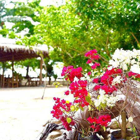 ホテル Dosplaya Ecocamp エルニド エクステリア 写真